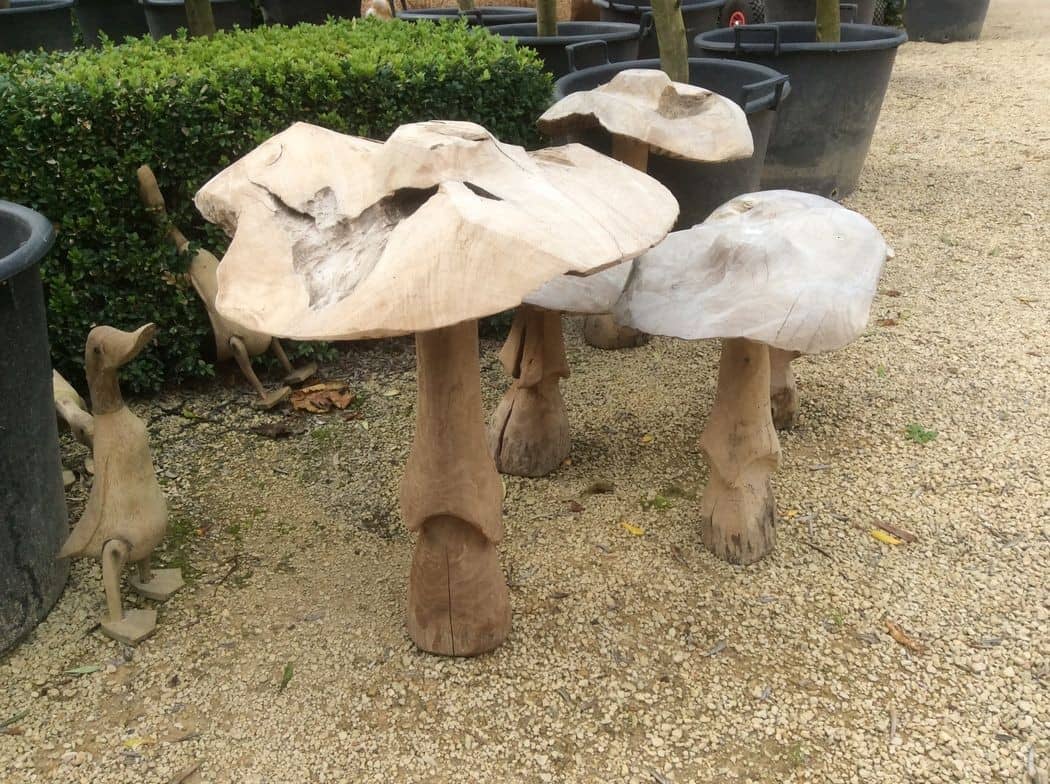 Collectie houten paddenstoelen en eenden